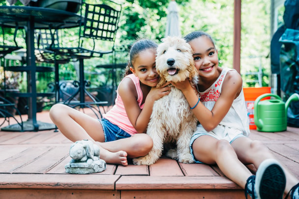 Sisters playing with a Australian Labradoodle puppy